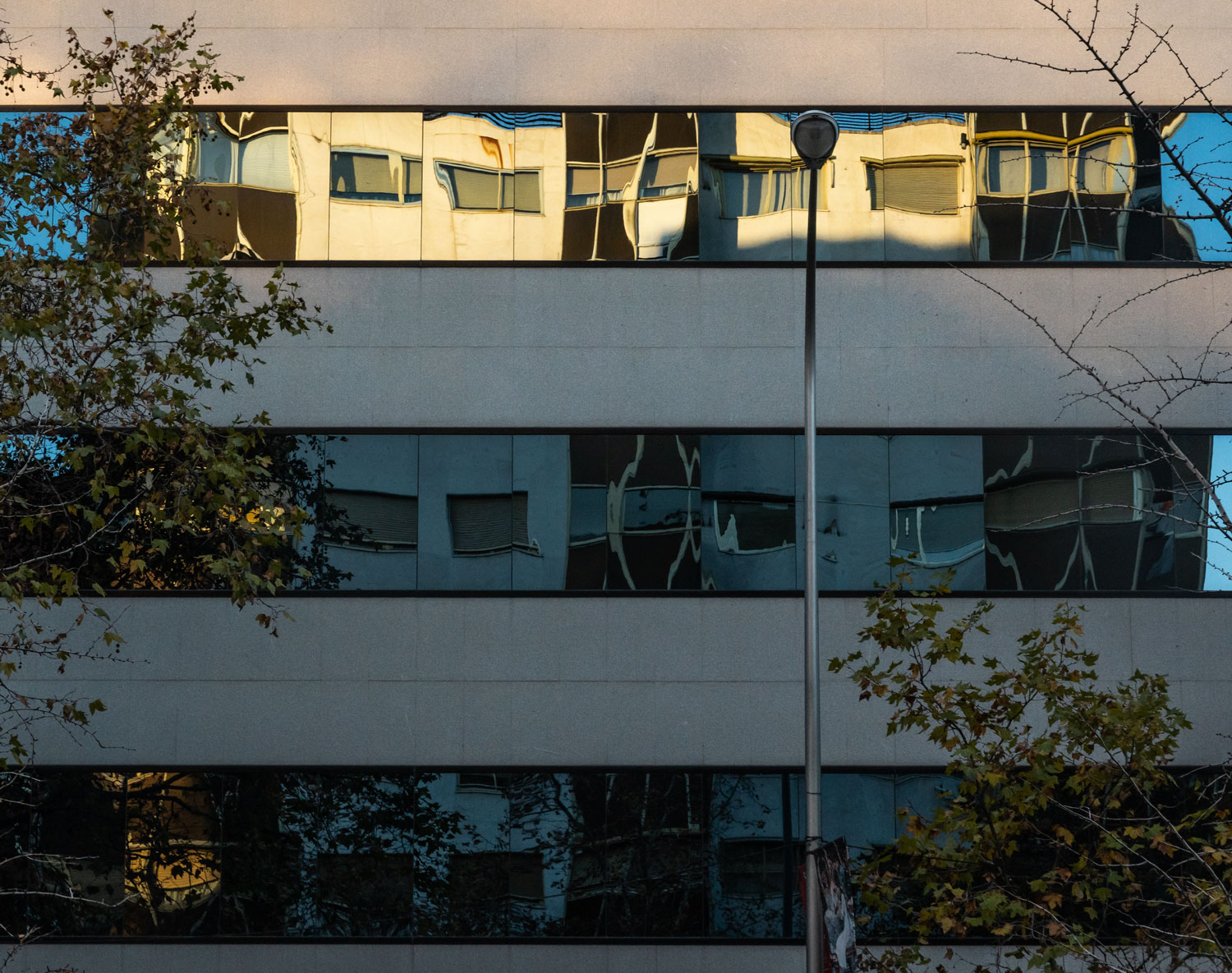 reflection10