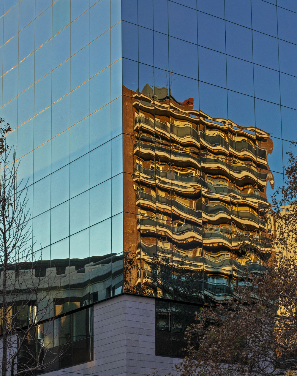 reflection6